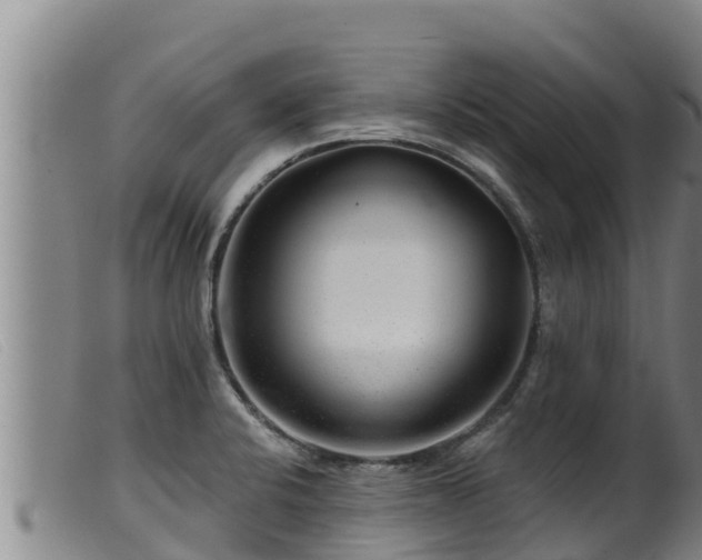 X0000099541424200805231115