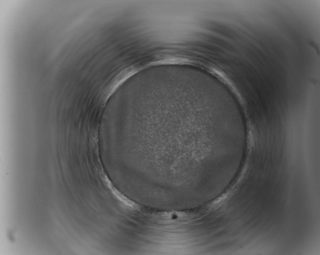 X0000099541425200805231115