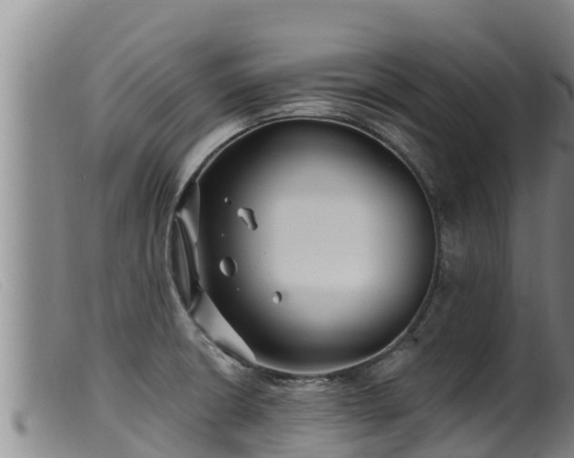 X0000099541426200805231115