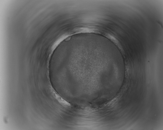 X0000099541427200805231115