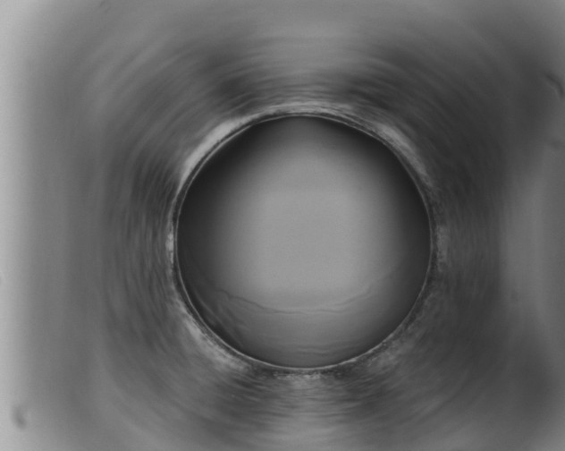 X0000099541428200805231116