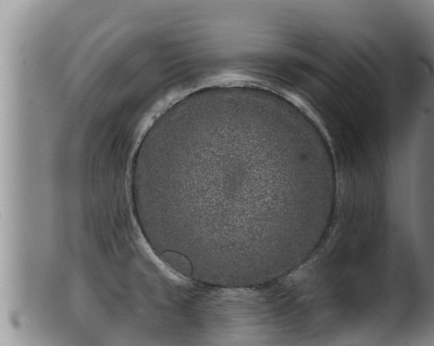 X0000099541429200805231116