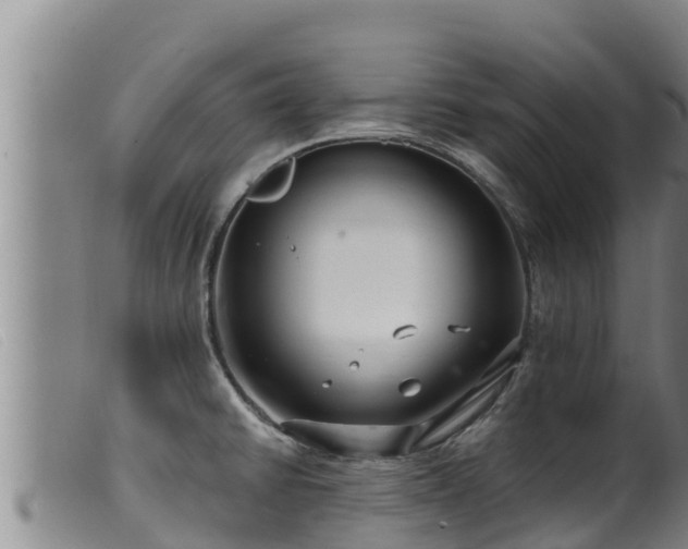 X0000099541430200805231116