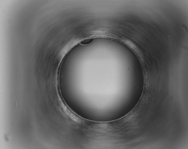 X0000099541431200805231116