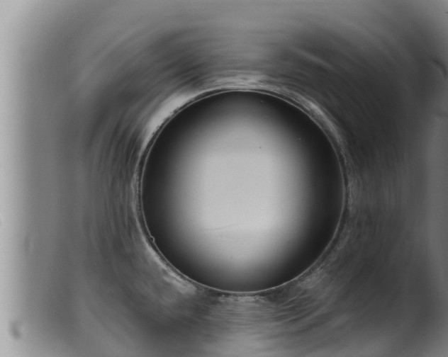 X0000099541432200805231116