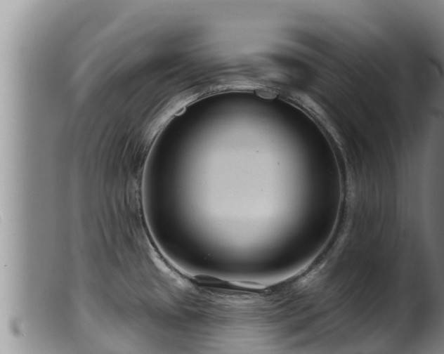 X0000099541433200805231116