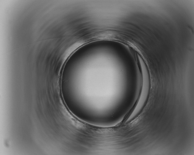 X0000099541434200805231116