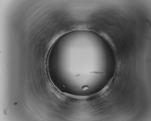 X0000099541435200805231116