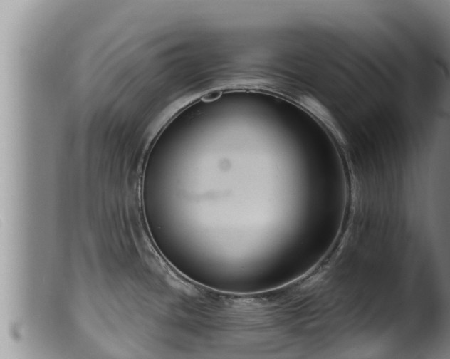 X0000099541436200805231116