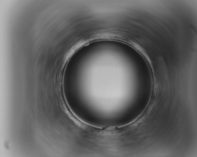 X0000099541437200805231116