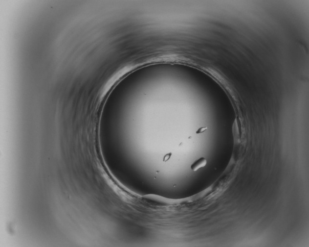 X0000099541438200805231116