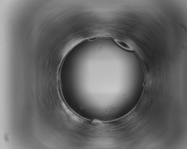 X0000099541439200805231116