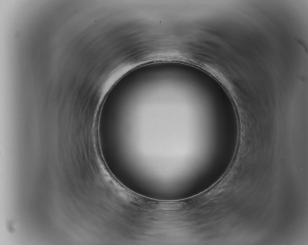 X0000099541440200805231116