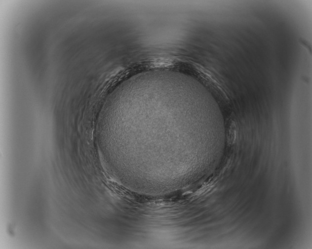 X0000099541441200805231115