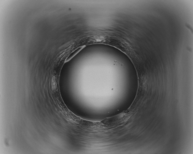 X0000099541442200805231115