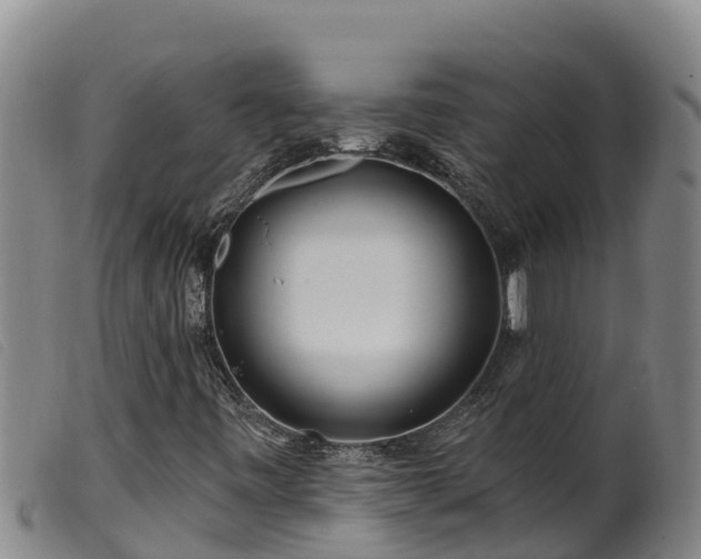 X0000099541443200805231115