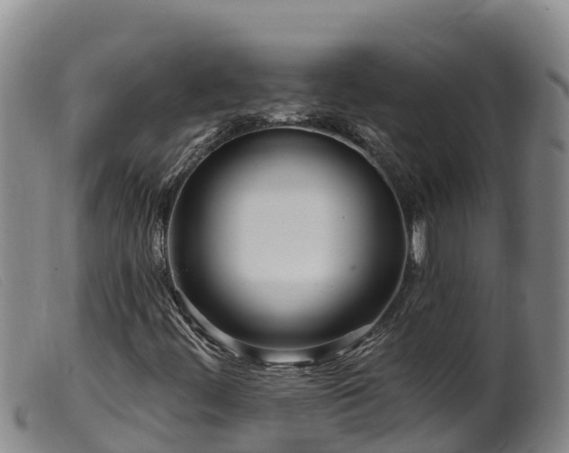 X0000099541444200805231115