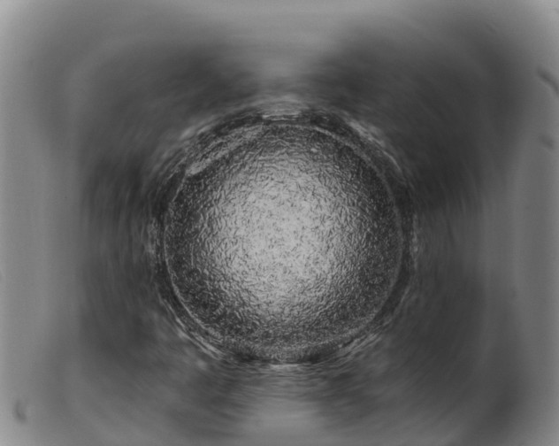 X0000099541445200805231115