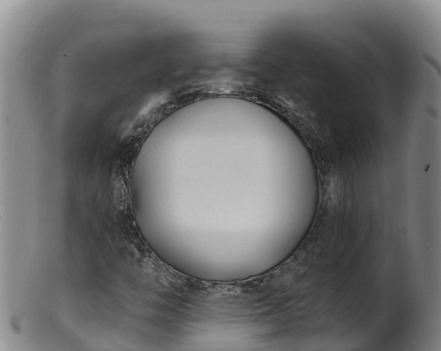 X0000099541446200805231115