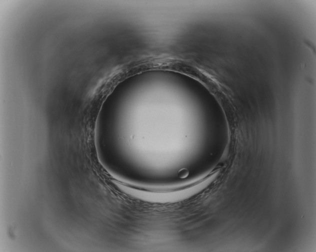 X0000099541447200805231115