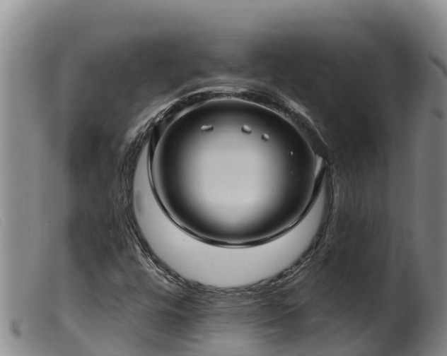 X0000099541448200805231115