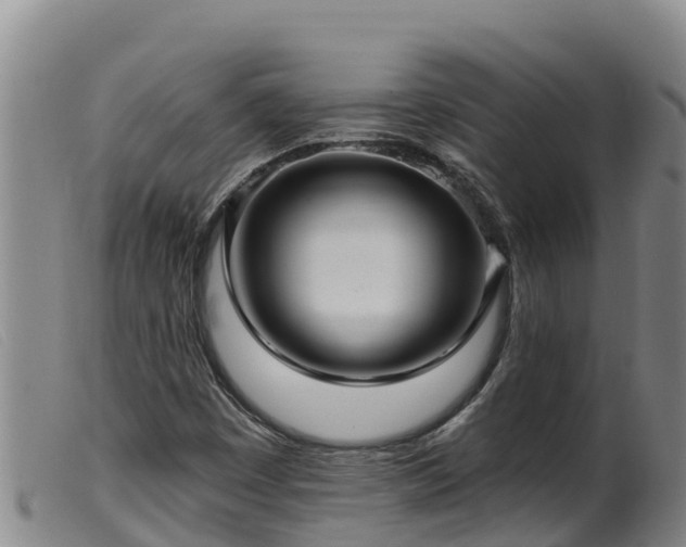 X0000099541449200805231115