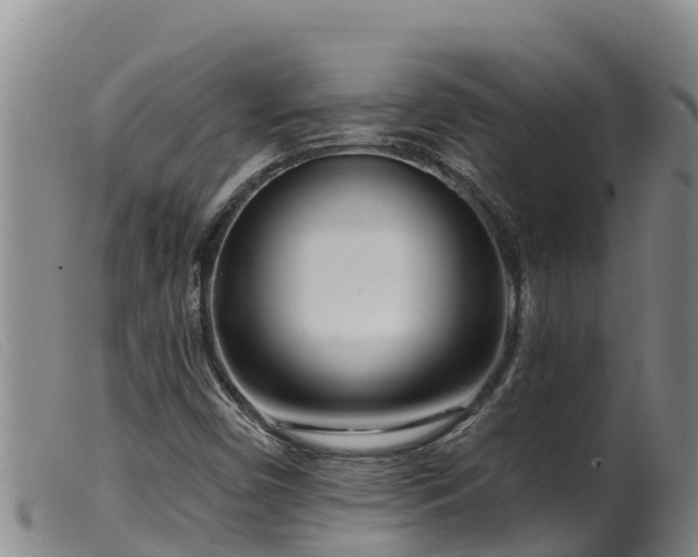 X0000099541450200805231115