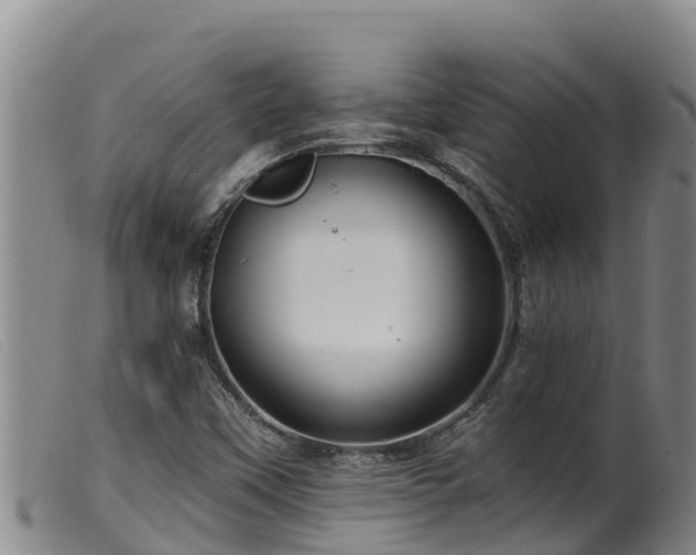 X0000099541451200805231115