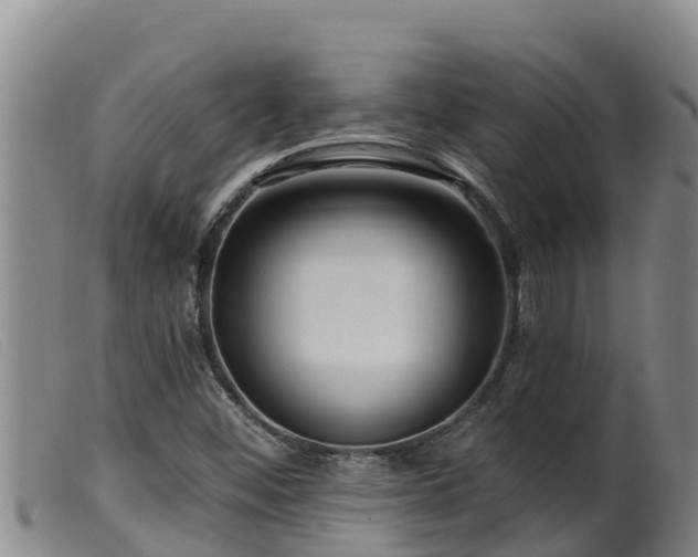 X0000099541452200805231115