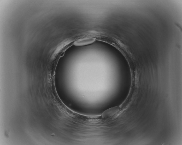 X0000099541453200805231115