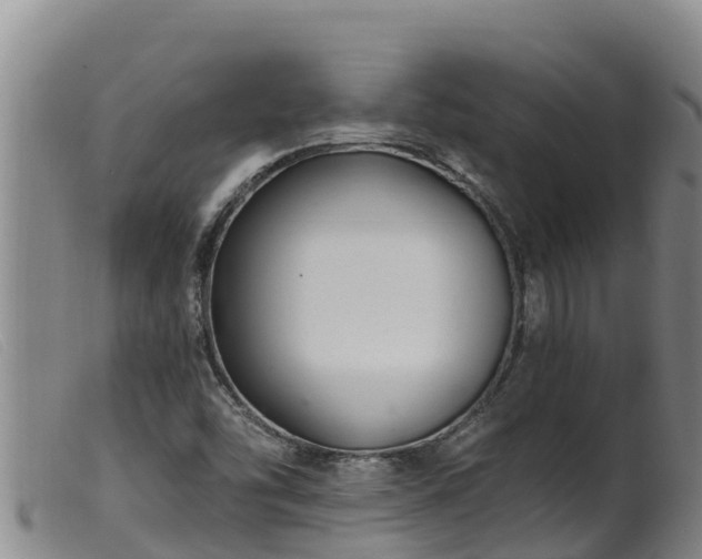 X0000099541454200805231115