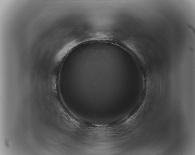 X0000099541455200805231114