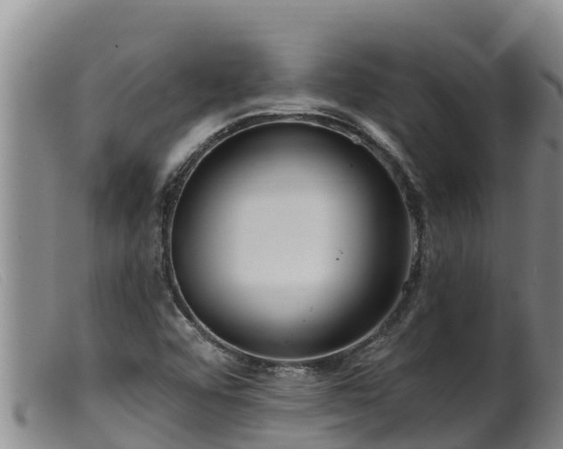 X0000099541456200805231114