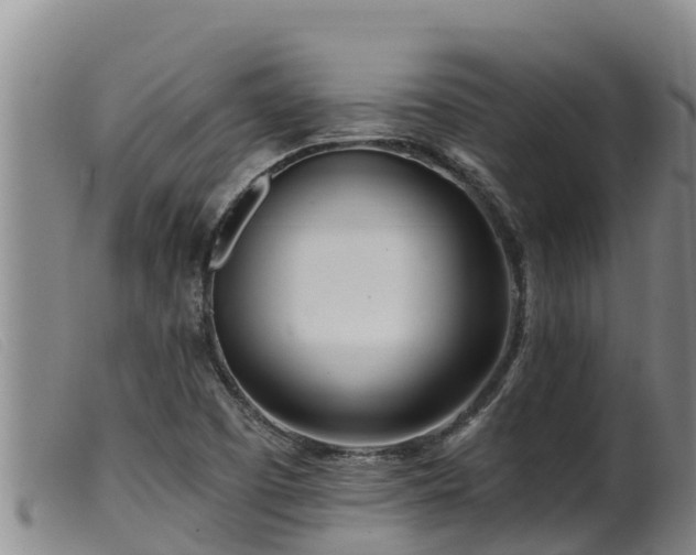 X0000099541457200805231114