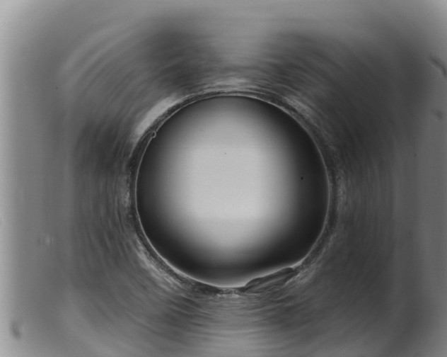 X0000099541458200805231114