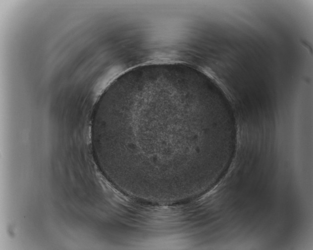 X0000099541459200805231114