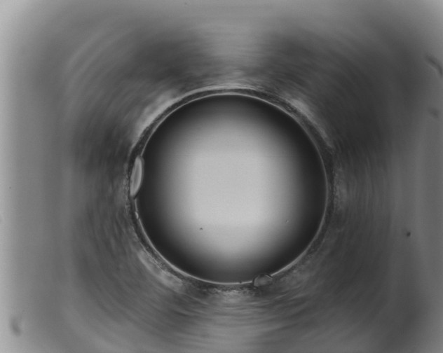 X0000099541460200805231114