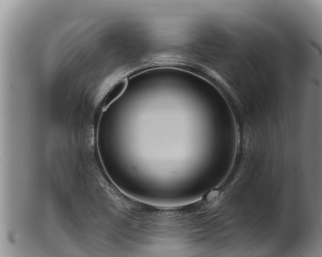 X0000099541461200805231114