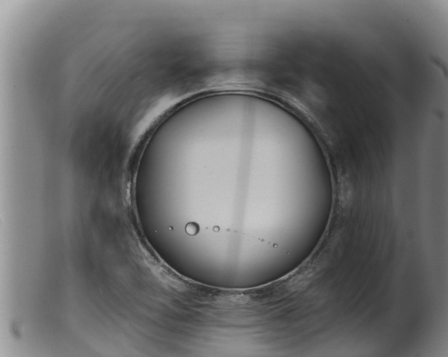 X0000099541462200805231114