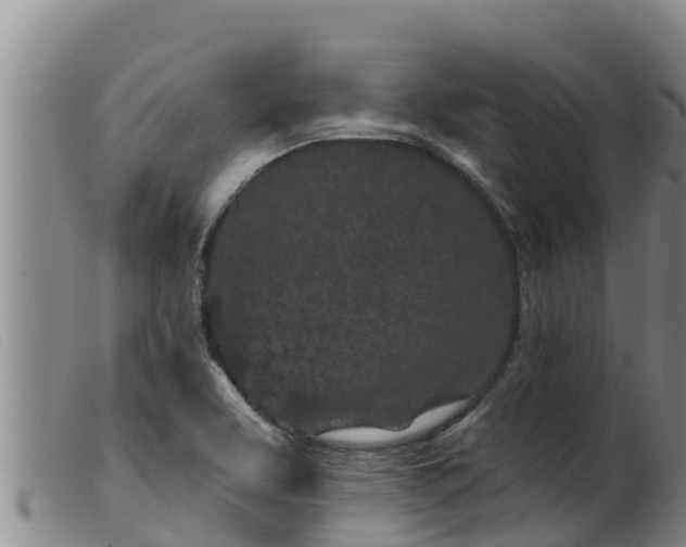 X0000099541463200805231114