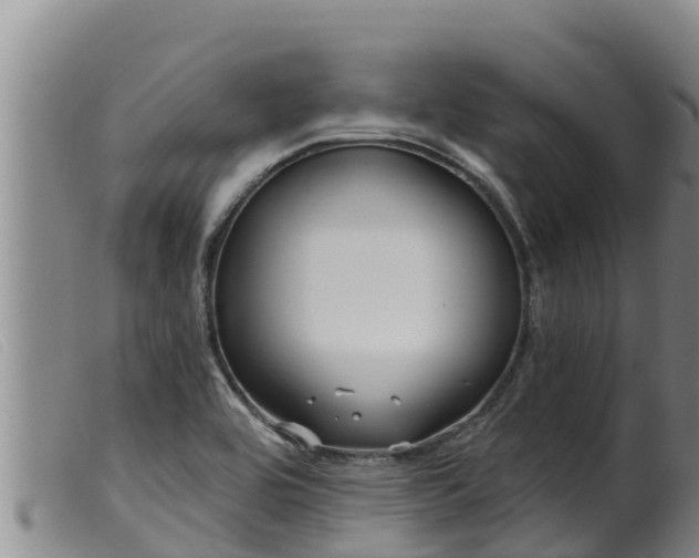 X0000099541464200805231114