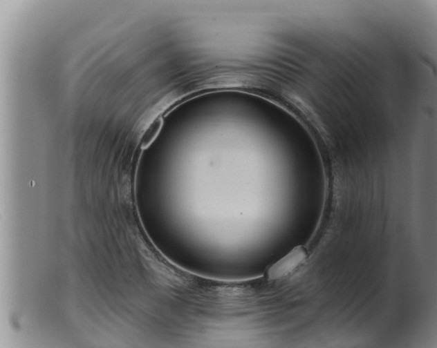 X0000099541465200805231114