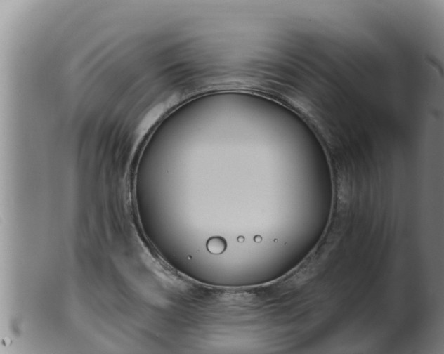 X0000099541466200805231114