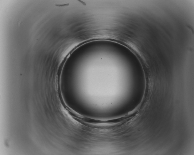 X0000099541468200805231114