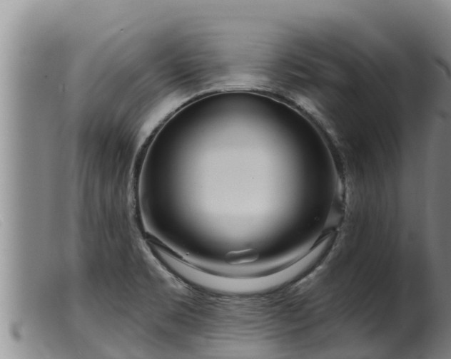 X0000099541469200805231114