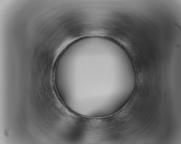 X0000099541470200805231114