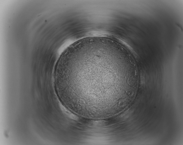 X0000099541471200805231114