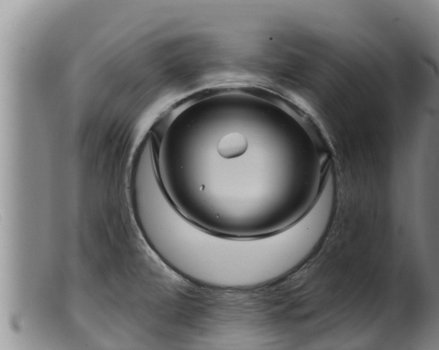 X0000099541472200805231114