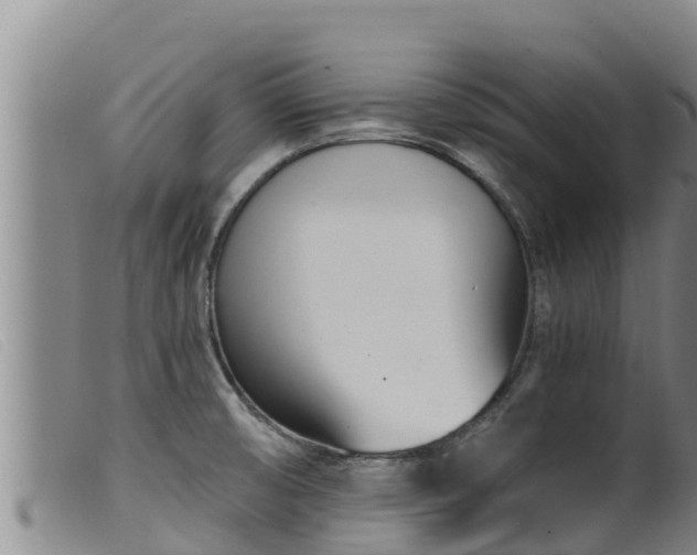 X0000099541474200805231114