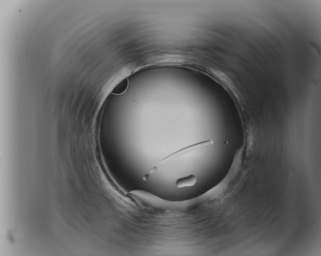 X0000099541475200805231114